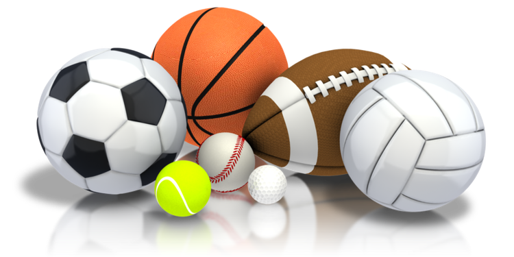 Rainbow International School gallery sport
